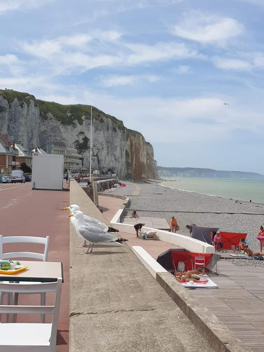 Appartement Renove Tout Confort Mers-les-Bains Esterno foto